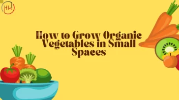 How to grow organic vegetables in small spaces
